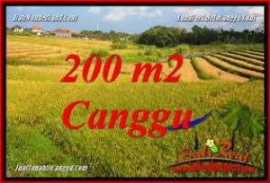 TANAH di CANGGU BALI DIJUAL TJCG228