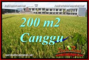 TANAH MURAH di CANGGU BALI DIJUAL 200 m2 di CANGGU BRAWA