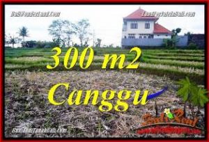 TANAH di CANGGU DIJUAL 300 m2 di CANGGU PERERENAN