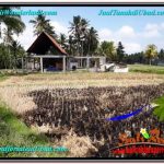 DIJUAL MURAH TANAH di UBUD BALI Untuk INVESTASI TJUB666