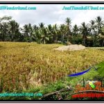 DIJUAL MURAH TANAH di UBUD BALI Untuk INVESTASI TJUB666