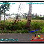 DIJUAL MURAH TANAH di UBUD BALI Untuk INVESTASI TJUB666