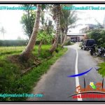 DIJUAL MURAH TANAH di UBUD BALI Untuk INVESTASI TJUB666