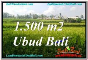 TANAH MURAH DIJUAL di UBUD BALI Untuk INVESTASI TJUB667