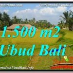 TANAH MURAH DIJUAL di UBUD 15 Are di UBUD TEGALALANG