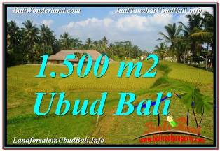 TANAH MURAH DIJUAL di UBUD 15 Are di UBUD TEGALALANG