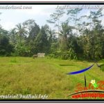 TANAH MURAH di UBUD BALI DIJUAL Untuk INVESTASI TJUB668