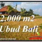 DIJUAL MURAH TANAH di UBUD BALI 2,000 m2 di UBUD TEGALALANG