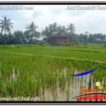 DIJUAL TANAH MURAH di UBUD BALI 11 Are di SENTRAL UBUD