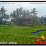 DIJUAL TANAH MURAH di UBUD BALI 11 Are di SENTRAL UBUD