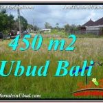 JUAL TANAH di UBUD 450 m2 KAWASAN KOMERSIL