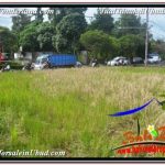 TANAH MURAH di UBUD DIJUAL Untuk INVESTASI TJUB671