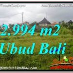 JUAL TANAH di UBUD Untuk INVESTASI TJUB672