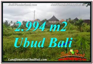 JUAL TANAH di UBUD Untuk INVESTASI TJUB672