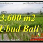 TANAH DIJUAL di UBUD 36 Are VIEW SAWAH DAN VILLA