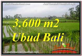 TANAH DIJUAL di UBUD 36 Are VIEW SAWAH DAN VILLA