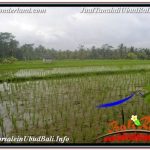 JUAL MURAH TANAH di UBUD BALI 3,600 m2 di UBUD TEGALALANG