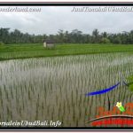 JUAL MURAH TANAH di UBUD BALI 3,600 m2 di UBUD TEGALALANG