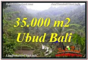 DIJUAL TANAH MURAH di UBUD BALI Untuk INVESTASI TJUB674