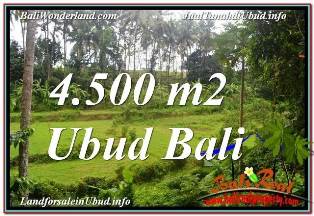 TANAH di UBUD BALI DIJUAL 45 Are di SENTRAL UBUD