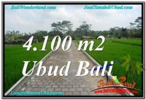 TANAH DIJUAL di UBUD 4,100 m2 di SENTRAL UBUD