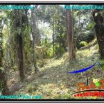 INVESTASI PROPERTY, TANAH DIJUAL MURAH di UBUD BALI TJUB676