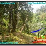 INVESTASI PROPERTY, TANAH DIJUAL MURAH di UBUD BALI TJUB676