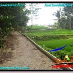 INVESTASI PROPERTY, TANAH DIJUAL MURAH di UBUD BALI TJUB676