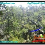 INVESTASI PROPERTY, TANAH DIJUAL MURAH di UBUD BALI TJUB676