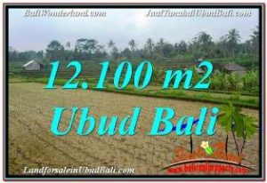 JUAL MURAH TANAH di UBUD 12,100 m2  VIEW SUNGAI DAN TEBING