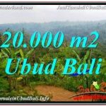 TANAH di UBUD BALI DIJUAL TJUB678