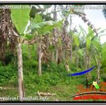 INVESTASI PROPERTI, DIJUAL TANAH di UBUD BALI TJUB678