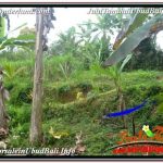 INVESTASI PROPERTI, DIJUAL TANAH di UBUD BALI TJUB678