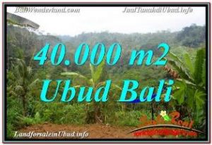 INVESTASI PROPERTI, TANAH di UBUD DIJUAL TJUB679