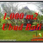 TANAH JUAL MURAH UBUD 10 Are VIEW SAWAH, LINGKUNGAN VILLA