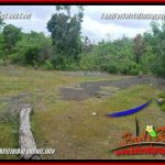 JUAL TANAH MURAH di JIMBARAN BALI TJJI133