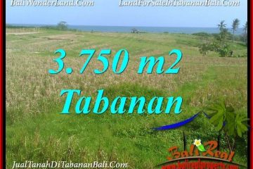 TANAH di TABANAN BALI DIJUAL MURAH 3,750 m2 di TABANAN SELEMADEG