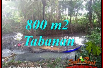 TANAH di TABANAN BALI DIJUAL MURAH 800 m2 VIEW KEBUN DAN SUNGAI