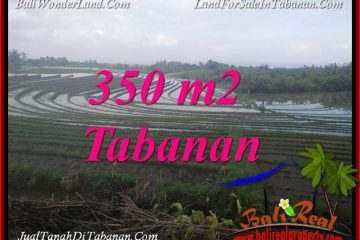 INVESTASI PROPERTY, JUAL TANAH MURAH di TABANAN BALI TJTB386