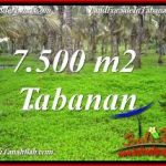 TANAH DIJUAL di TABANAN 7,500 m2 di TABANAN SELEMADEG