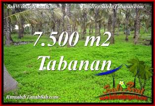 TANAH DIJUAL di TABANAN 7,500 m2 di TABANAN SELEMADEG