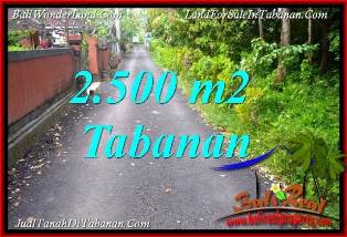 JUAL MURAH TANAH di TABANAN 25 Are VIEW KEBUN, LINGKUNGAN VILLA