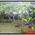 JUAL TANAH MURAH di UBUD BALI 1,000 m2 di SENTRAL UBUD