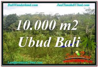 TANAH di UBUD BALI DIJUAL MURAH TJUB681