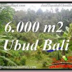 TANAH MURAH DIJUAL di UBUD BALI Untuk INVESTASI TJUB682