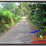 TANAH MURAH di UBUD BALI DIJUAL 6,000 m2 VIEW SUNGAI DAN TEBING