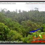 TANAH MURAH di UBUD BALI DIJUAL 6,000 m2 VIEW SUNGAI DAN TEBING