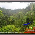 TANAH MURAH di UBUD BALI DIJUAL 6,000 m2 VIEW SUNGAI DAN TEBING