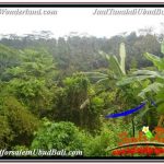 TANAH MURAH di UBUD BALI DIJUAL 6,000 m2 VIEW SUNGAI DAN TEBING