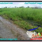 TANAH DIJUAL di CANGGU BALI 900 m2 View sawah lingkungan villa